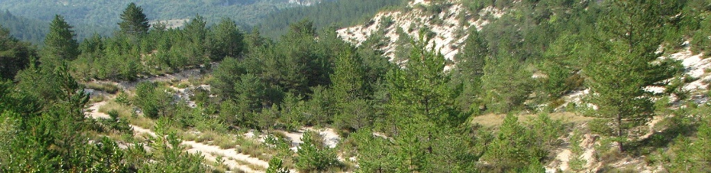 Alpenweg 07